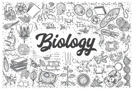 CBSE Class 12 Biology Practical File